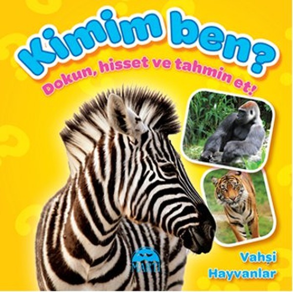 Hayvanlari Taniyalim Koala Hayvanlar Cocuklar Icin Hayvanlar Egitici Cizgi Film Didiyom Tv Youtube Hayvan Hayvanlar Hayvanlar Alemi